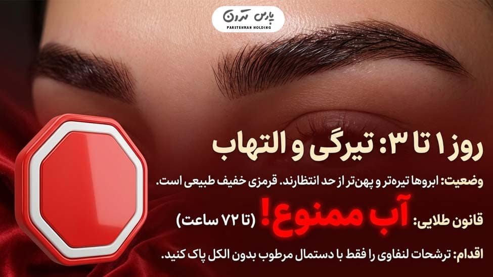 Normal changes in eyebrow fibrosis after one week تغییرات طبیعی فیبروز ابرو بعد از یک هفته