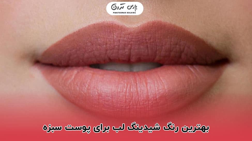 The best lip shade for brown skin بهترین رنگ شیدینگ لب برای پوست سبزه