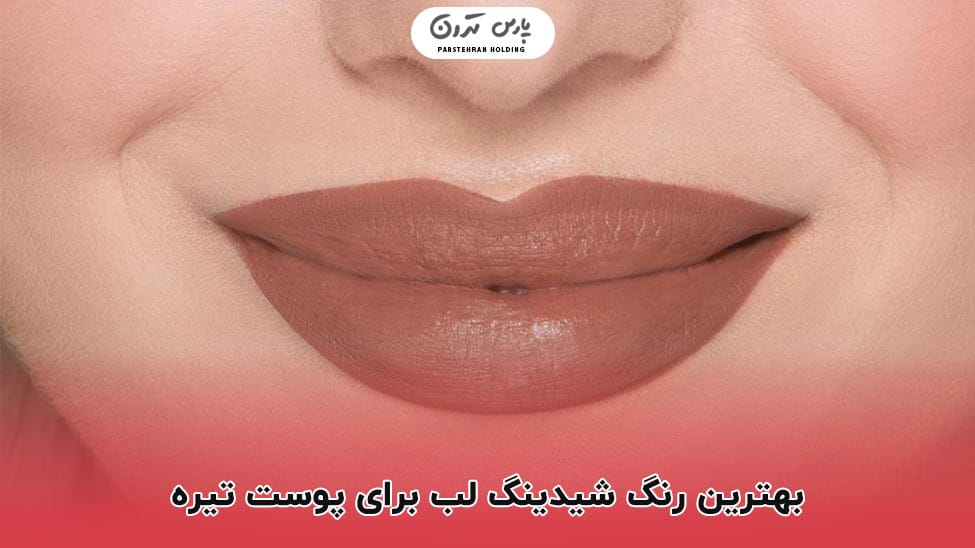 The best lip shade for dark skin بهترین رنگ شیدینگ لب برای پوست تیره