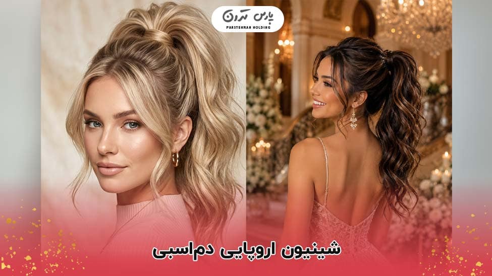 polished ponytail hairstyle شینیون اروپایی دماسبی